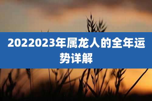 2022023年属龙人的全年运势详解