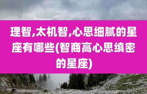 理智,太机智,心思细腻的星座有哪些(智商高心思缜密的星座)