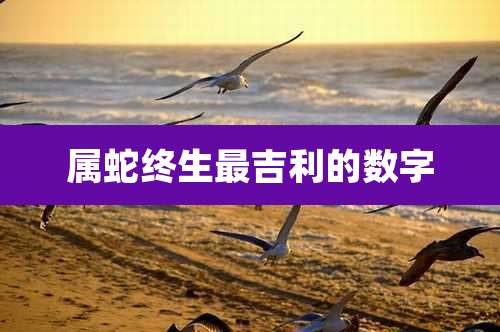 属蛇终生最吉利的数字