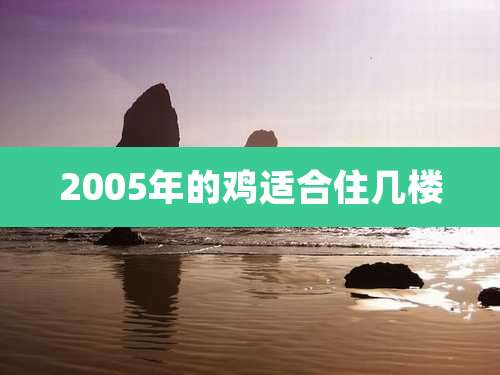 2005年的鸡适合住几楼