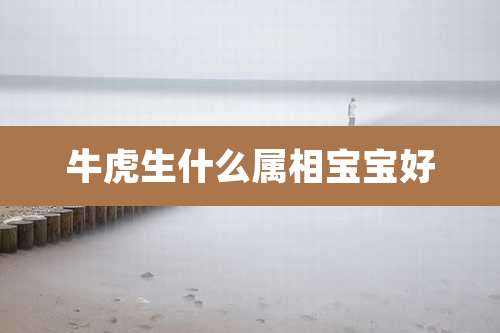 牛虎生什么属相宝宝好