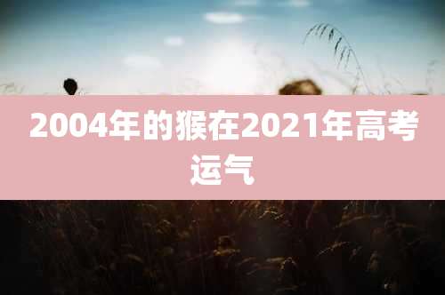2004年的猴在2021年高考运气