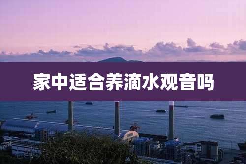 家中适合养滴水观音吗