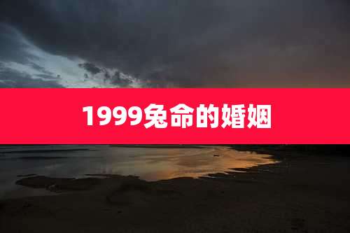1999兔命的婚姻