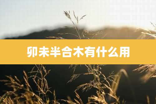 卯未半合木有什么用