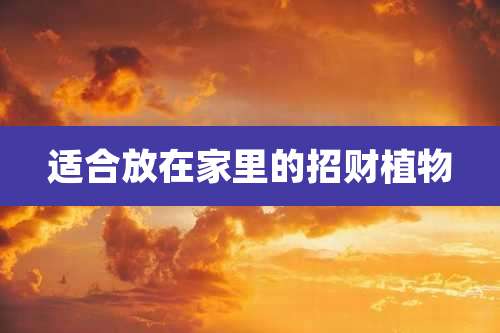 适合放在家里的招财植物