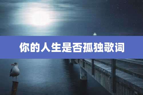 你的人生是否孤独歌词