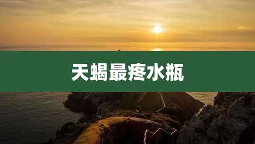 天蝎最疼水瓶
