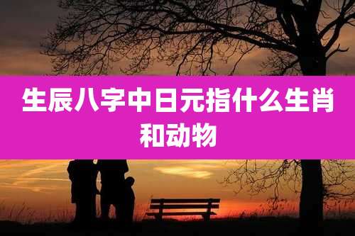 生辰八字中日元指什么生肖和动物