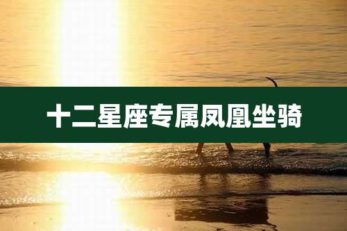 十二星座专属凤凰坐骑