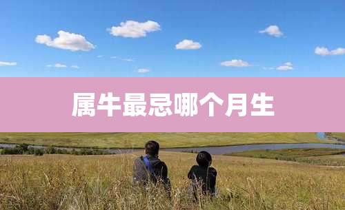 属牛最忌哪个月生