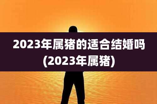 2023年属猪的适合结婚吗(2023年属猪)