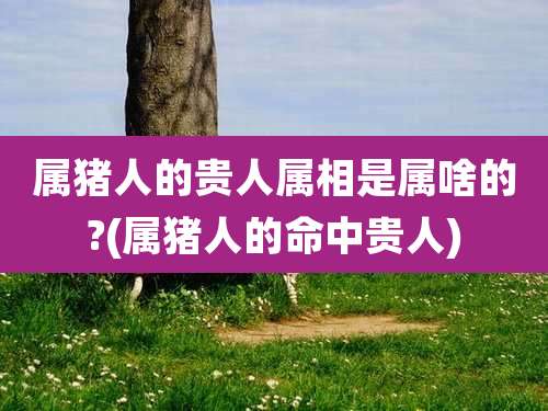 属猪人的贵人属相是属啥的?(属猪人的命中贵人)