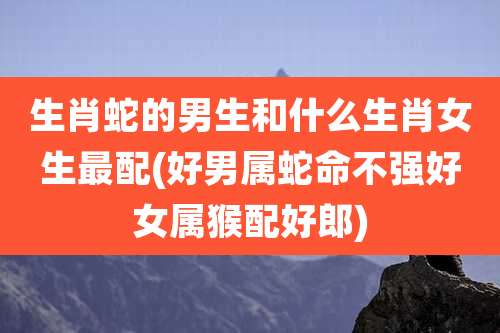 生肖蛇的男生和什么生肖女生最配(好男属蛇命不强好女属猴配好郎)