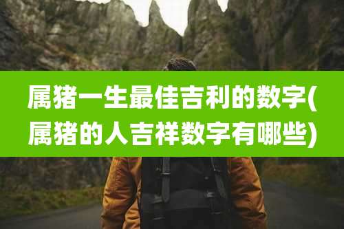属猪一生最佳吉利的数字(属猪的人吉祥数字有哪些)