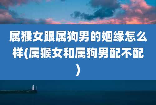 属猴女跟属狗男的姻缘怎么样(属猴女和属狗男配不配)