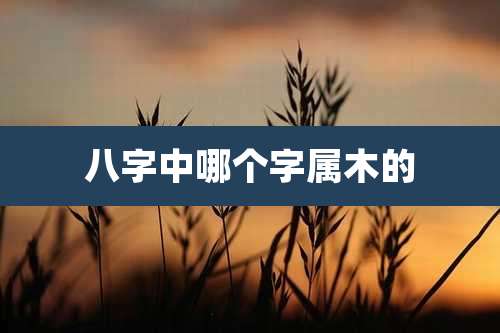 八字中哪个字属木的