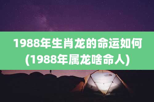 1988年生肖龙的命运如何(1988年属龙啥命人)
