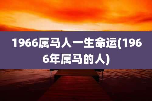 1966属马人一生命运(1966年属马的人)