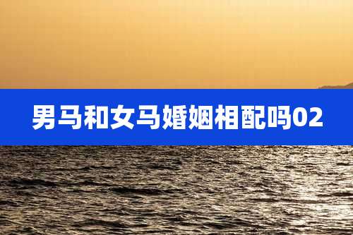 男马和女马婚姻相配吗02