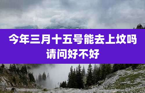 今年三月十五号能去上坟吗请问好不好