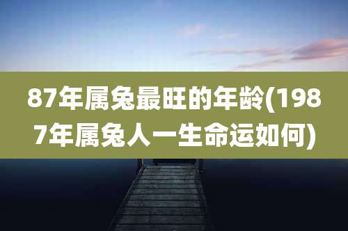 87年属兔最旺的年龄(1987年属兔人一生命运如何)