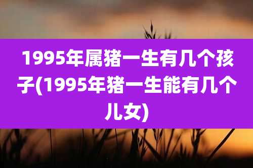 1995年属猪一生有几个孩子(1995年猪一生能有几个儿女)