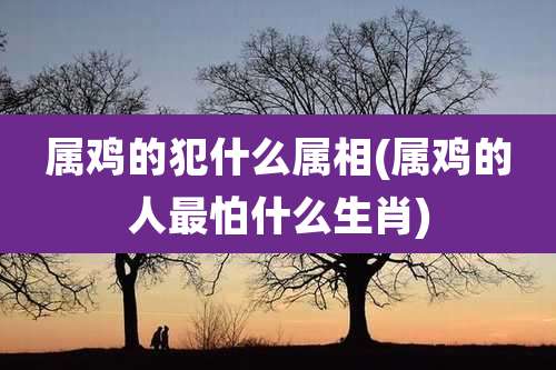 属鸡的犯什么属相(属鸡的人最怕什么生肖)