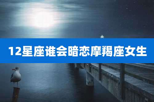 12星座谁会暗恋摩羯座女生