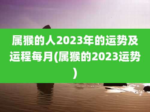 属猴的人2023年的运势及运程每月(属猴的2023运势)