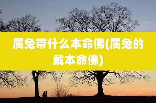 属兔带什么本命佛(属兔的戴本命佛)