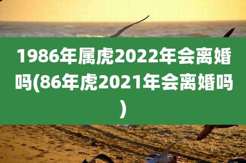 1986年属虎2022年会离婚吗(86年虎2021年会离婚吗)
