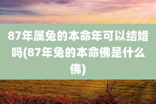 87年属兔的本命年可以结婚吗(87年兔的本命佛是什么佛)
