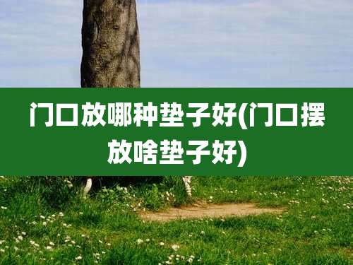 门口放哪种垫子好(门口摆放啥垫子好)