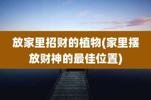 放家里招财的植物(家里摆放财神的最佳位置)