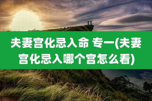 夫妻宫化忌入命 专一(夫妻宫化忌入哪个宫怎么看)