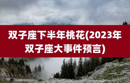 双子座下半年桃花(2023年双子座大事件预言)