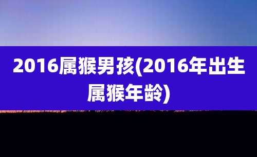 2016属猴男孩(2016年出生属猴年龄)