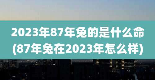 2023年87年兔的是什么命(87年兔在2023年怎么样)