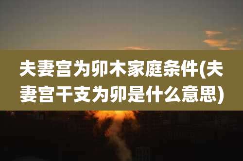 夫妻宫为卯木家庭条件(夫妻宫干支为卯是什么意思)