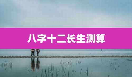 八字十二长生测算
