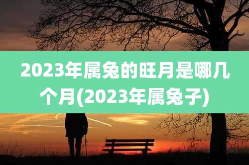 2023年属兔的旺月是哪几个月(2023年属兔子)