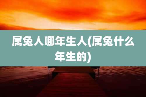 属兔人哪年生人(属兔什么年生的)