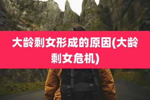 大龄剩女形成的原因(大龄剩女危机)