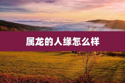 属龙的人缘怎么样