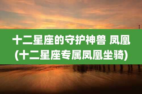 十二星座的守护神兽 凤凰(十二星座专属凤凰坐骑)