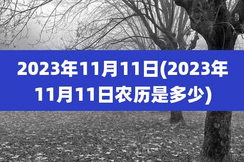 2023年11月11日(2023年11月11日农历是多少)