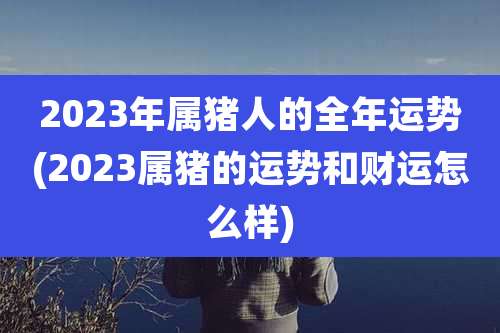 2023年属猪人的全年运势(2023属猪的运势和财运怎么样)