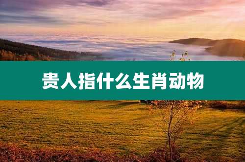 贵人指什么生肖动物