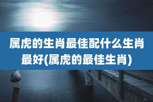 属虎的生肖最佳配什么生肖最好(属虎的最佳生肖)